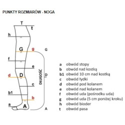 Podkolanówki Przeciwżylakowe Aries profilaktyczne 70 Avicenum Melanż
