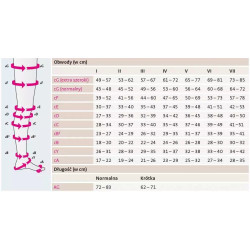 Pończochy Przeciwżylakowe Uciskowe MEDIVEN AG Elegance 2 klasa kompresji Zamknięte Krótkie MEDI Carmel